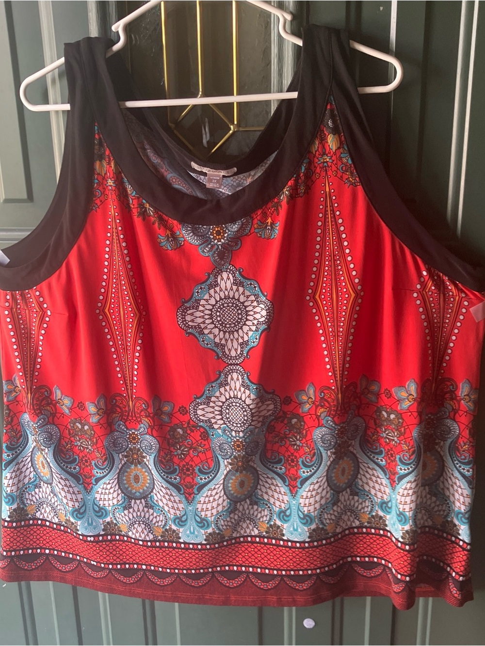 Roz & Ali Red Sleeveless Boho-Print Tank with Black Trim